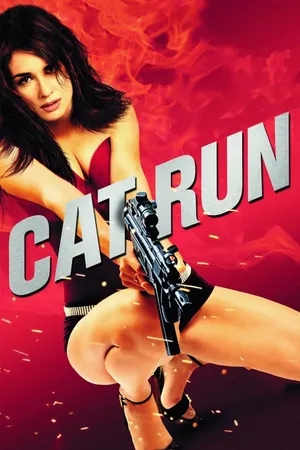 Cat run